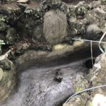 池じまい（水抜き）