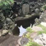 Thumbnail of post image 169