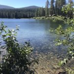 Thumbnail of related posts 139