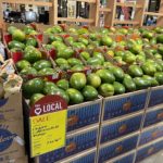 Thumbnail of related posts 102