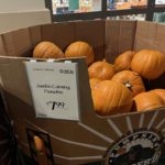 Thumbnail of post image 157