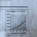 Thumbnail of related posts 172