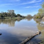 Thumbnail of related posts 115