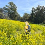 Thumbnail of related posts 043