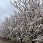 Thumbnail of related posts 153