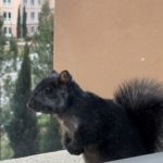 Thumbnail of related posts 121