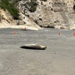 Thumbnail of related posts 095