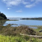 Thumbnail of related posts 004