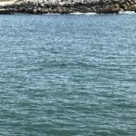 Thumbnail of related posts 175