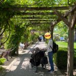 Thumbnail of related posts 017