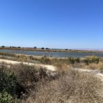 Thumbnail of related posts 075