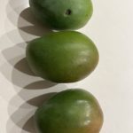 Thumbnail of post image 175