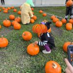 Thumbnail of post image 028